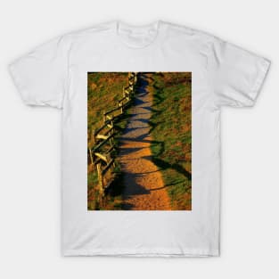 A Zigzag Fence. Point Reyes, California 2009 T-Shirt